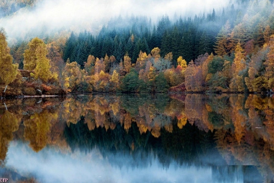 娱乐专栏--泷赢派