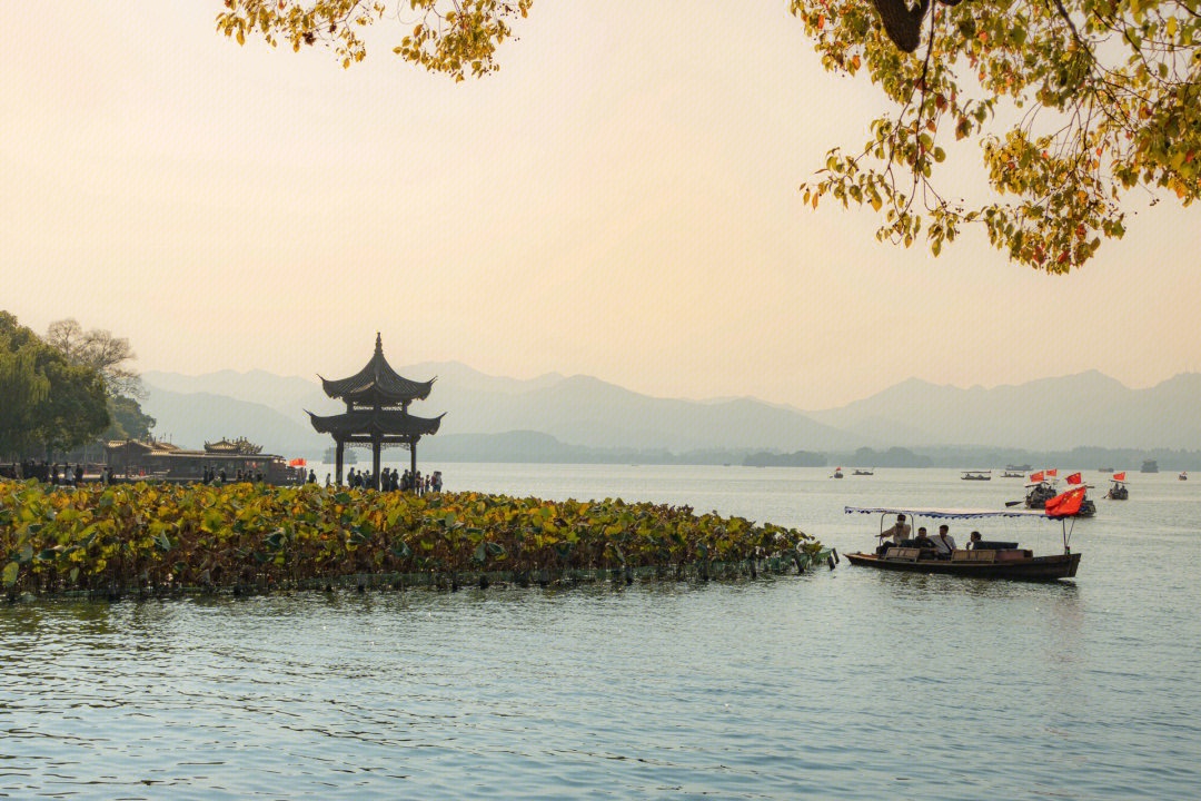 工具专栏-主要包含适用电脑手机平板电视的实用工具-泷赢派